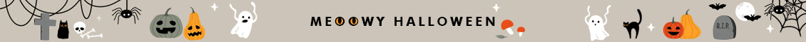 Halloween Best Sellers – Wholesale Accessories