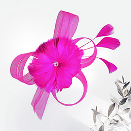 Stone Pointed Flower Bow Feather Net Fascinator / Headband