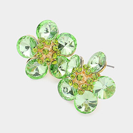Glass Stone Flower Earrings