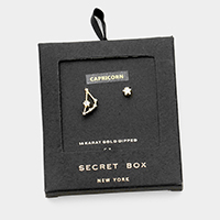 Secret Box _ CZ Zodiac Sign Capricorn Stud Earrings