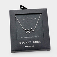 Secret Box _ Sterling Silver Dipped Vitamin Hormone Molecule Necklace