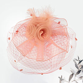 Flower Mesh Veil Feather Fascinator / Headband