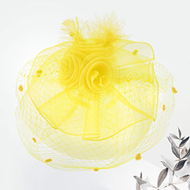 Flower Mesh Veil Feather Fascinator / Headband
