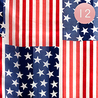 12PCS - American Flag Print Scarf