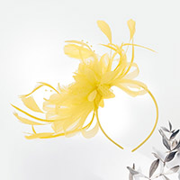 Mesh Flower Feather Fascinator / Headband