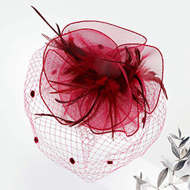Flower Mesh Veil Feather Fascinator / Headband