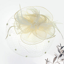 Flower Mesh Veil Feather Fascinator / Headband