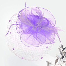 Flower Mesh Veil Feather Fascinator / Headband