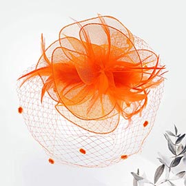 Flower Mesh Veil Feather Fascinator / Headband