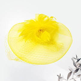 Feather Mesh Fascinator / Headband