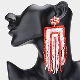 Beaded Tassel Fringe Dangle Earrings