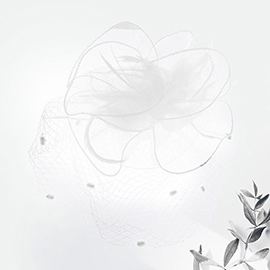 Flower Mesh Veil Feather Fascinator / Headband