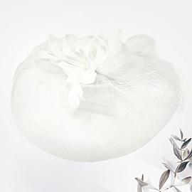 Feather Mesh Fascinator / Headband