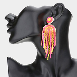 Colorful Beaded Fringed Dangle Earrings