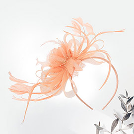 Mesh Flower Feather Fascinator / Headband