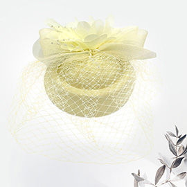 Floral Pearl Mesh Fascinator / Headband