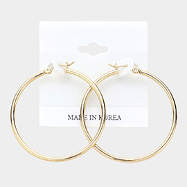 Metal Hoop Pin Catch Earrings