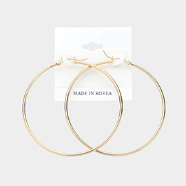 Metal Hoop Pin Catch Earrings