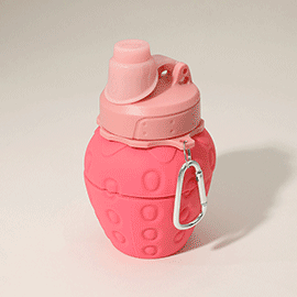 Collapsible Strawberry Water Bottle