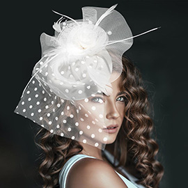 Dotted Mesh Flower Feather Mesh Fascinator / Headband